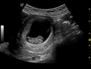ob_gyn01.jpg