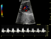 ob_gyn05.jpg