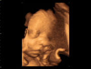 ob_gyn07.jpg