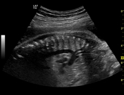 ob_gyn08.jpg