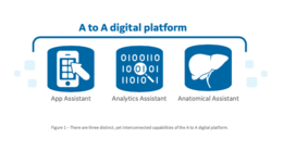 The A to A Digital Platform