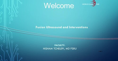 Fusion Ultrasound and Interventions by Dr. Hisham Tchelepi
