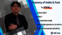 [MSK e-러닝]4. Anatomy of Ankle & Foot