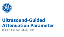 Ultrasound-Guided Attenuation Parameter