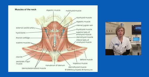How ultrasound helps to assess salivary glands with Lene Terslev, PhD